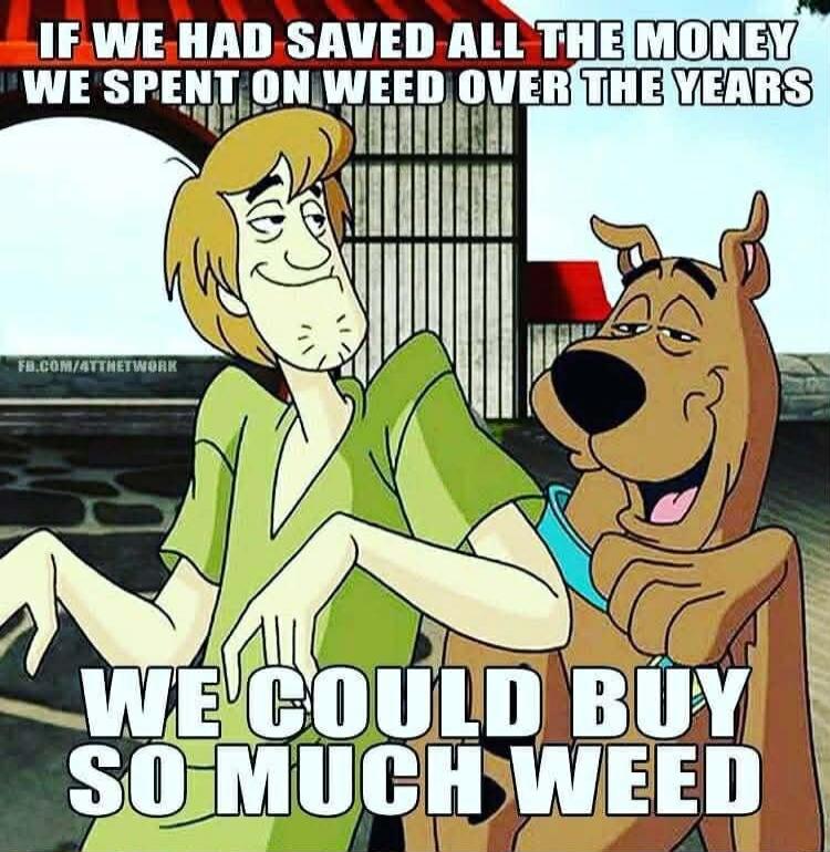 IF WE HAD SAVED ALL THE MONEY WE SPENT ON WEED OVER THE YEARS WE COULD BUY SO MUCH WEED
