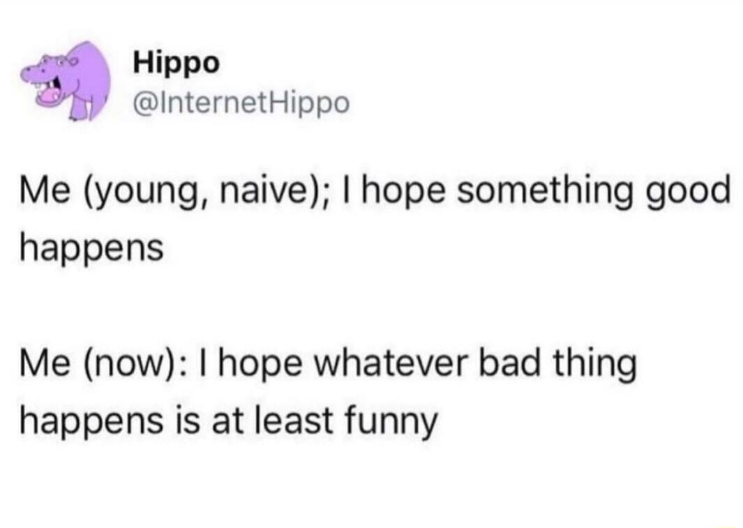 Hippo InternetHippo Me young naive hope something good happens Me now hope whatever bad thing happens is at least funny