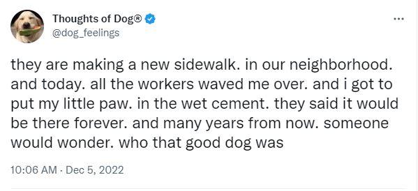 Thoughts of Dog dog feeings they are making a new sidewalk in our neighborhood and today all the workers waved me over and i got to put my little paw in the wet cement they said it would be there forever and many years from now someone would wonder who that good dog was 1006 AM Dec 5 2022