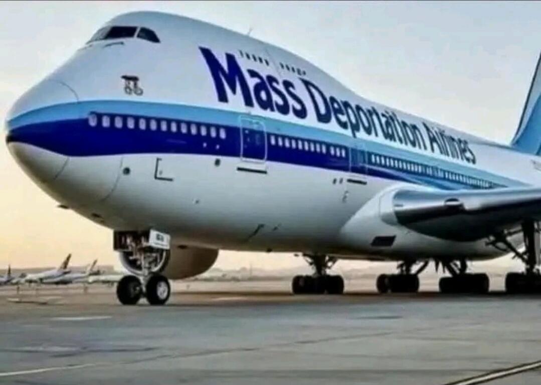 Mass Deportation Airlines