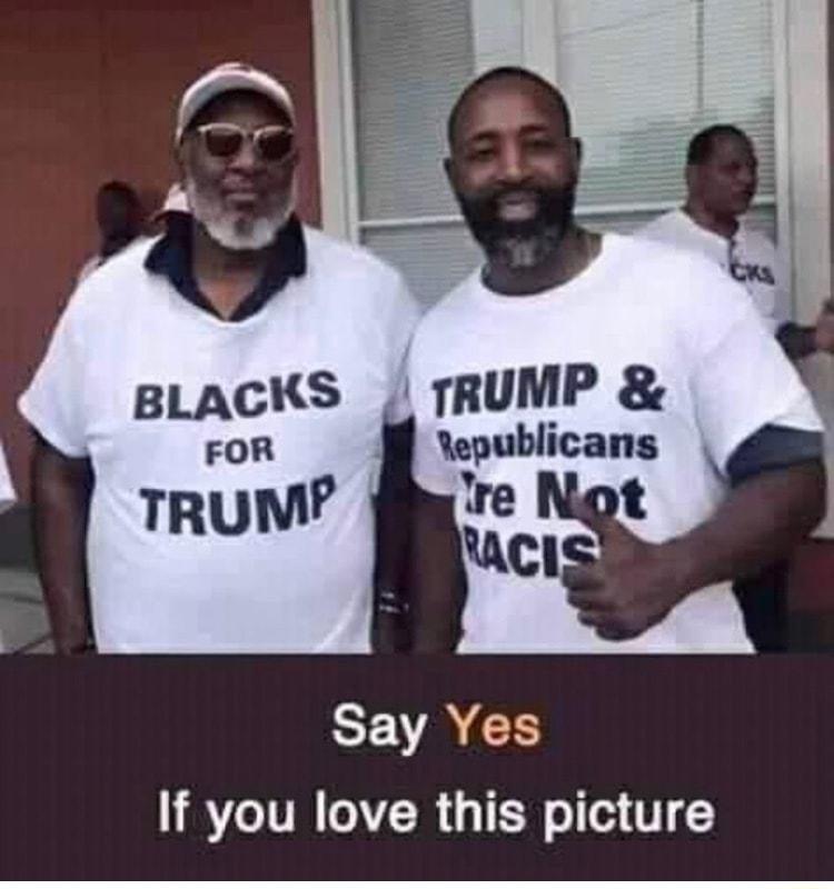 Yepublicans lre Say Yes If you love this picture