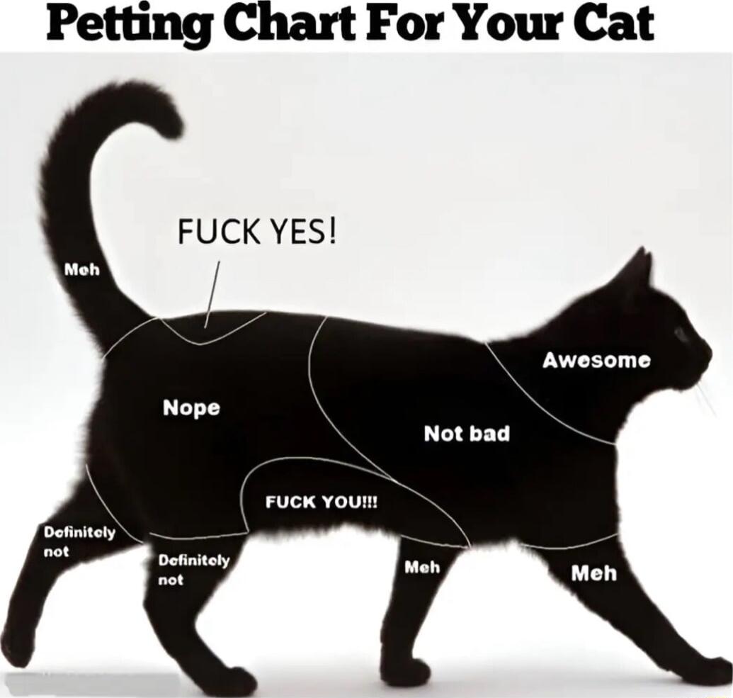 Petting Chart For Your Cat FUCK YES Awesome