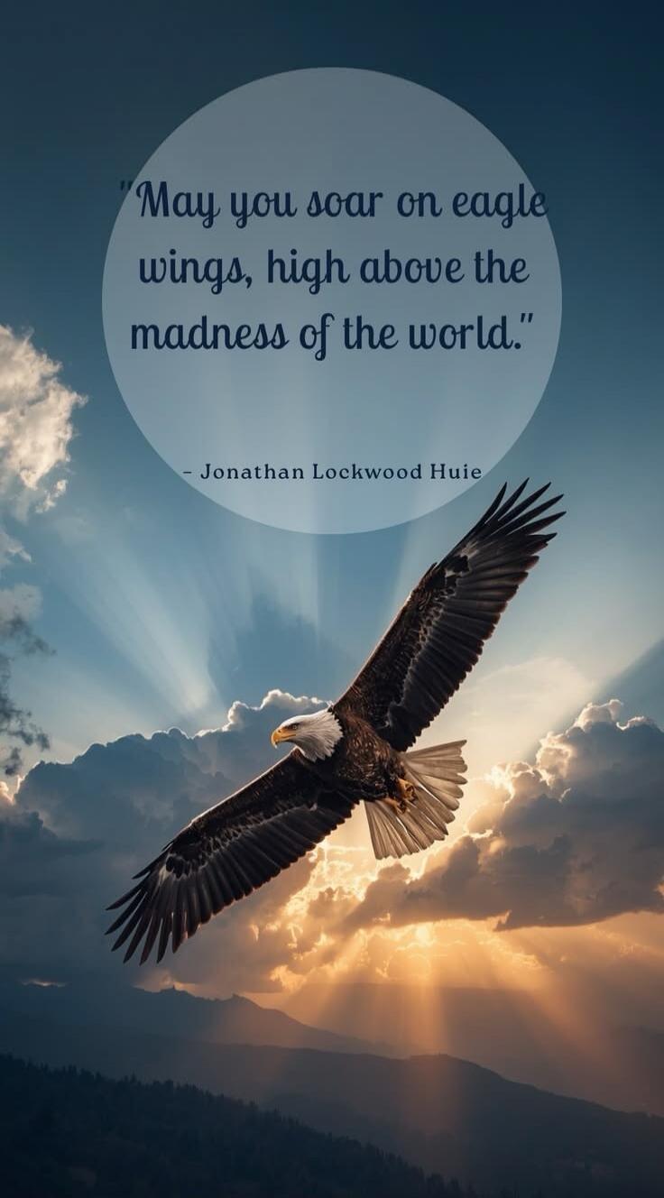 May you soar on eagle wings, high above the madness of the world. - Jonathan Lockwood Huie