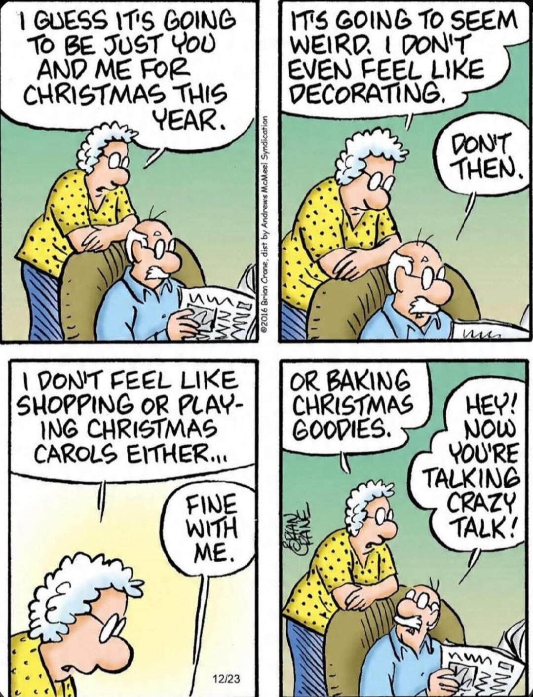I GUESS IT'S GOING TO BE JUST YOU AND ME FOR CHRISTMAS THIS YEAR. IT'S GOING TO SEEM WEIRD. I DON'T EVEN FEEL LIKE DECORATING. DON'T THEN. I DON'T FEEL LIKE SHOPPING OR PLAYING CHRISTMAS CAROLS EITHER... FINE WITH ME. OR BAKING CHRISTMAS GOODIES. HEY! NOW YOU'RE TALKING CRAZY TALK!