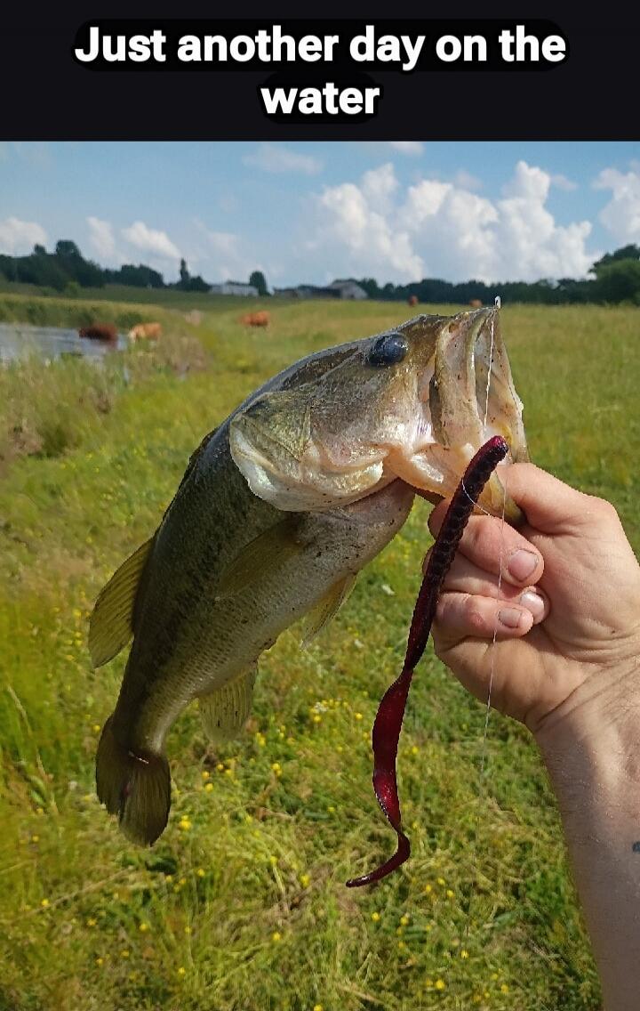 Just another day on the water
