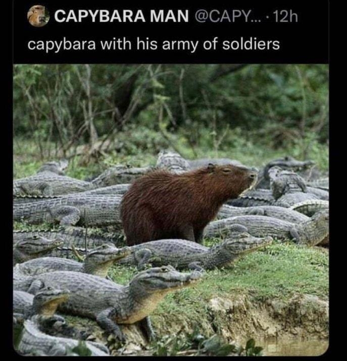 CAPYBARA MAN CAPY 12h capybara with his army of soldiers