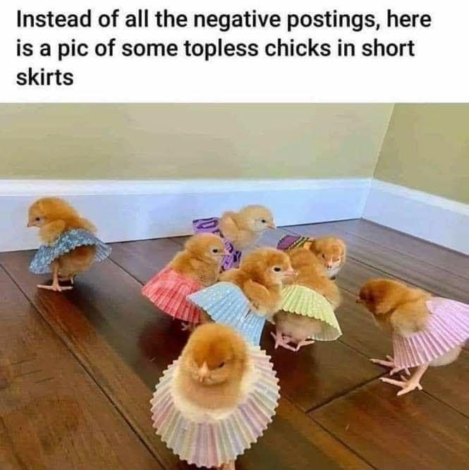 Instead of all the negative postings here is a pic of some topless chicks in short skirts