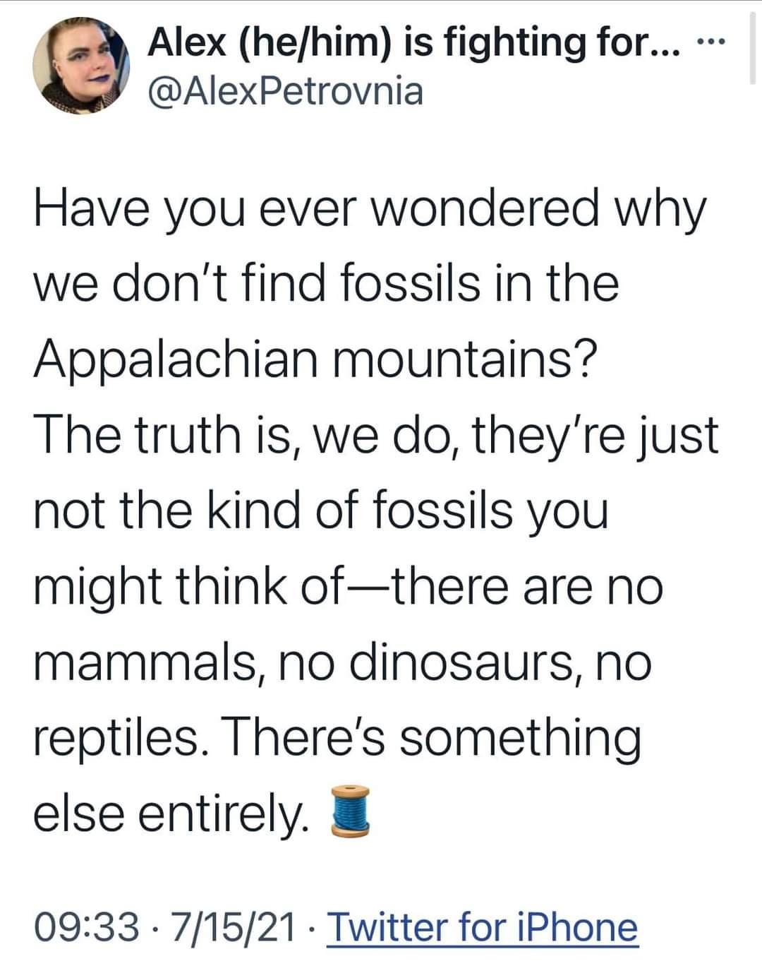Alex hehim is fighting for AlexPetrovnia Have you ever wondered why we dont find fossils in the Appalachian mountains The truth is we do theyre just not the kind of fossils you might think ofthere are no mammals no dinosaurs no reptiles Theres something else entirely 0933 71521 Twitter for iPhone