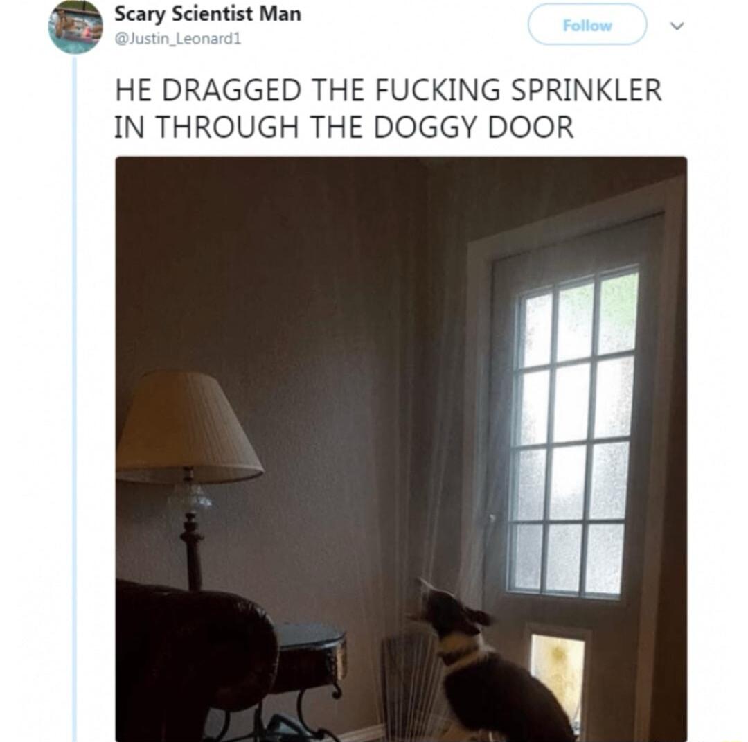 Scary Scientist Man HE DRAGGED THE FUCKING SPRINKLER IN THROUGH THE DOGGY DOOR