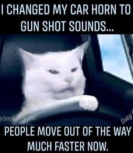 I CHANGED MY CAR HORN TO GUN SHOT SOUNDS... PEOPLE MOVE OUT OF THE WAY MUCH FASTER NOW.