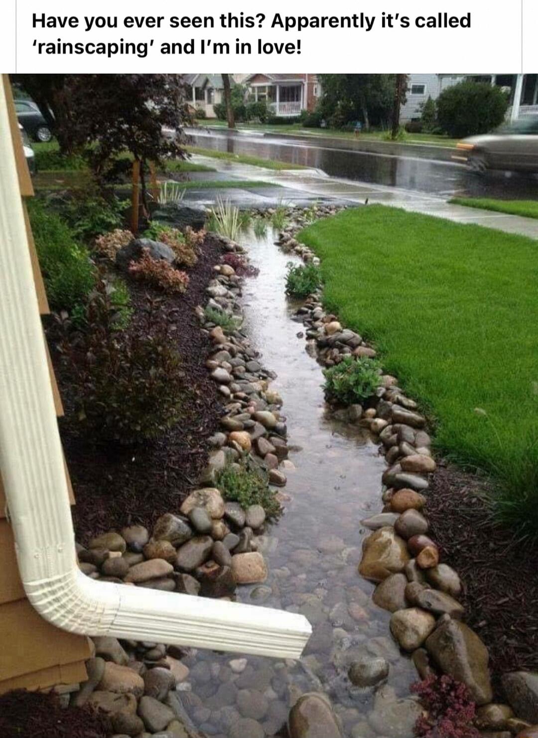 Have you ever seen this Apparently its called rainscaping and Im in love