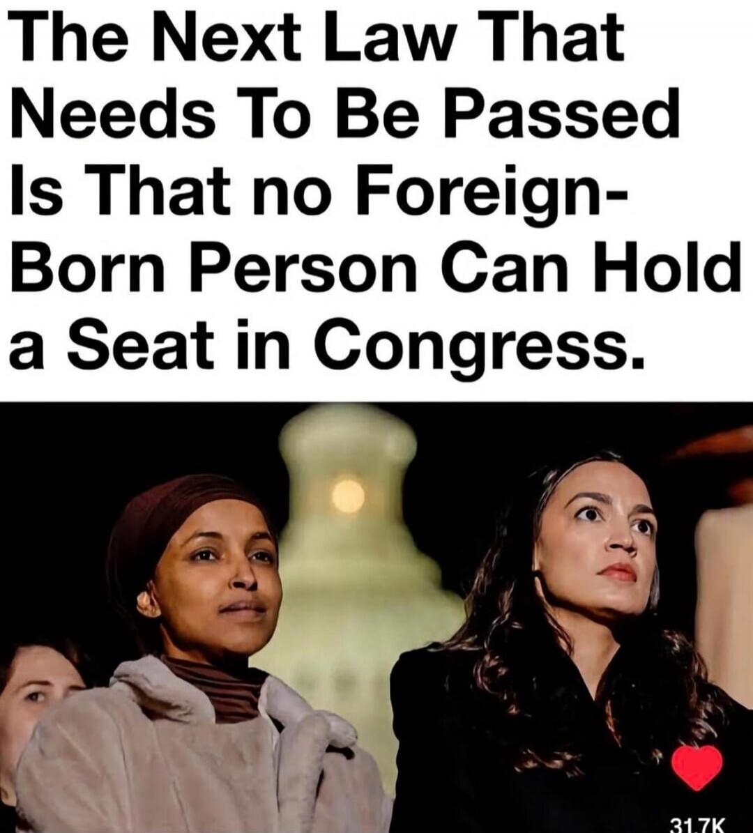 The Next Law That Needs To Be Passed Is That no Foreign-Born Person Can Hold a Seat in Congress.