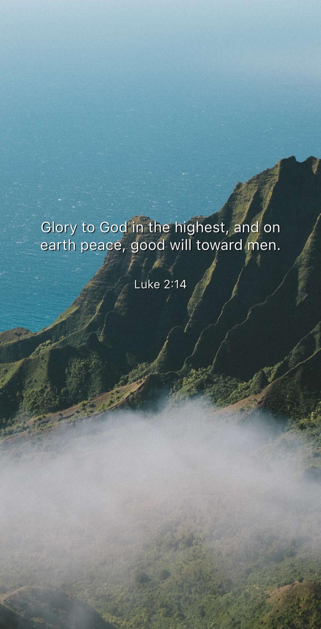 Glory to God in the highest, and on earth peace, good will toward men. Luke 2:14