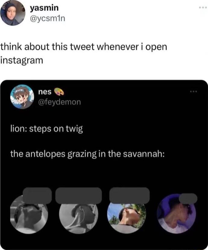 yasmin min think about this tweet whenever i open instagram nes lion steps on twig LUEE G R PO ARG EEEVERRERE