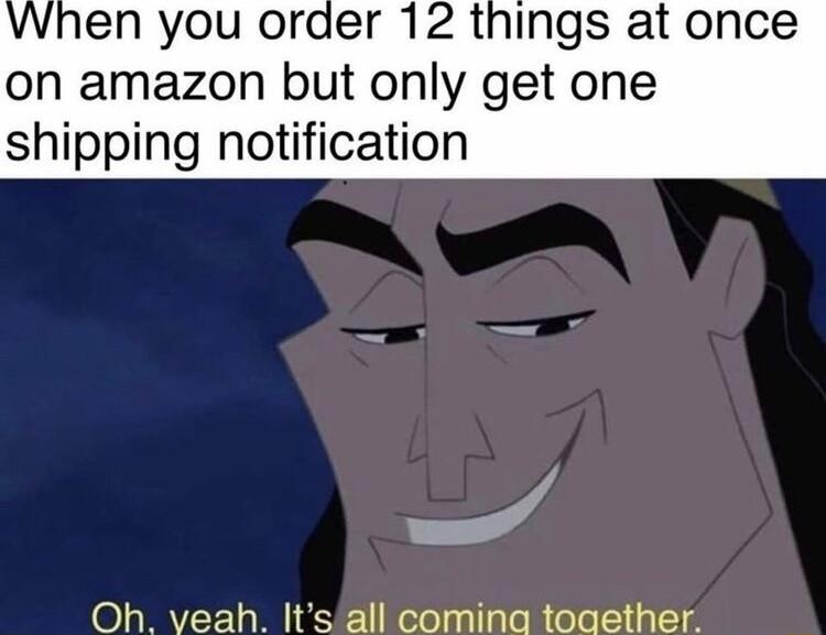 When you order 12 things at once on amazon but only get one shipping notification Oh veah Its all comina toaether