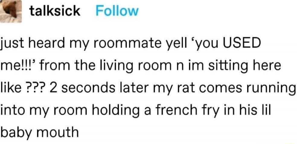 talksick Follow just heard my roommate yell 'you USED me!!!' from the living room n im sitting here like ??? 2 seconds later my rat comes running into my room holding a french fry in his lil baby mouth