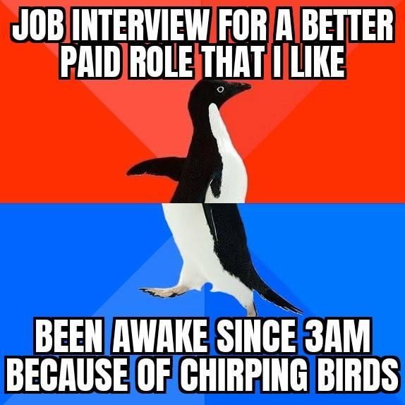 JOBINTERVIEW FORABETTER PAIDROLETHATILIKE BEEN nvmranm