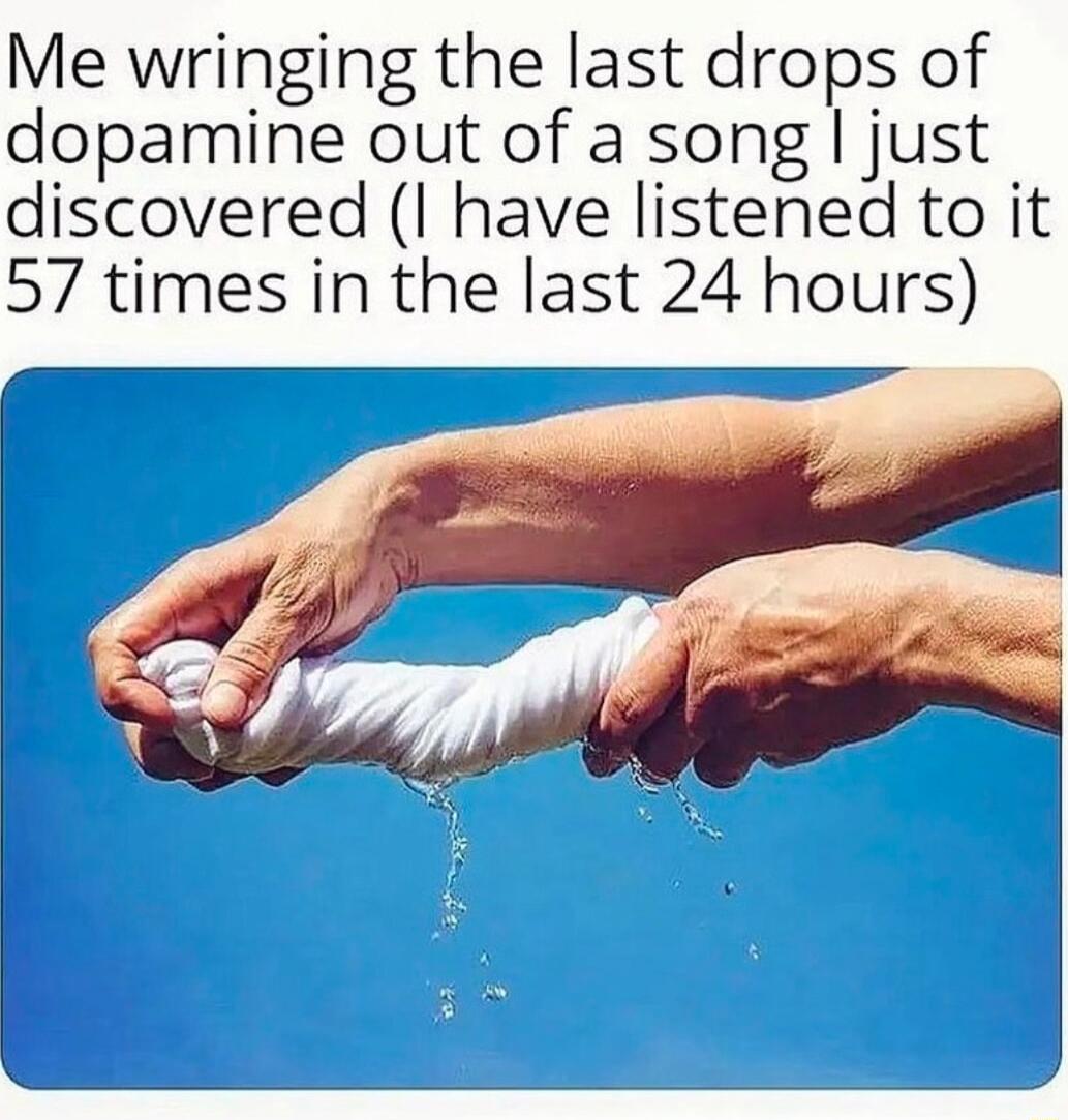 Me wringing the last drops of dopamine out of a song just discovered I have listened to it 57 times in the last 24 hours 3