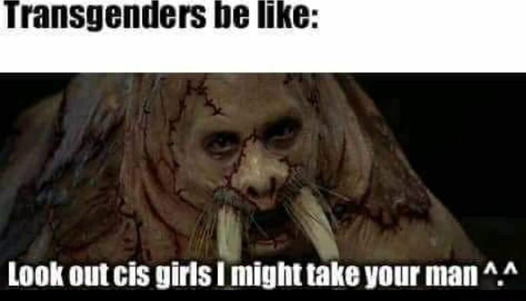 ransgenders be like Look out cis girls might take your man