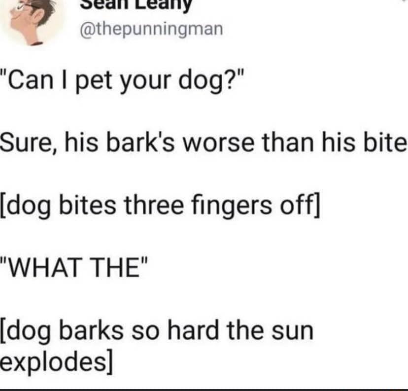eal Leany thepunningman Can pet your dog Sure his barks worse than his bite dog bites three fingers off WHAT THE dog barks so hard the sun explodes