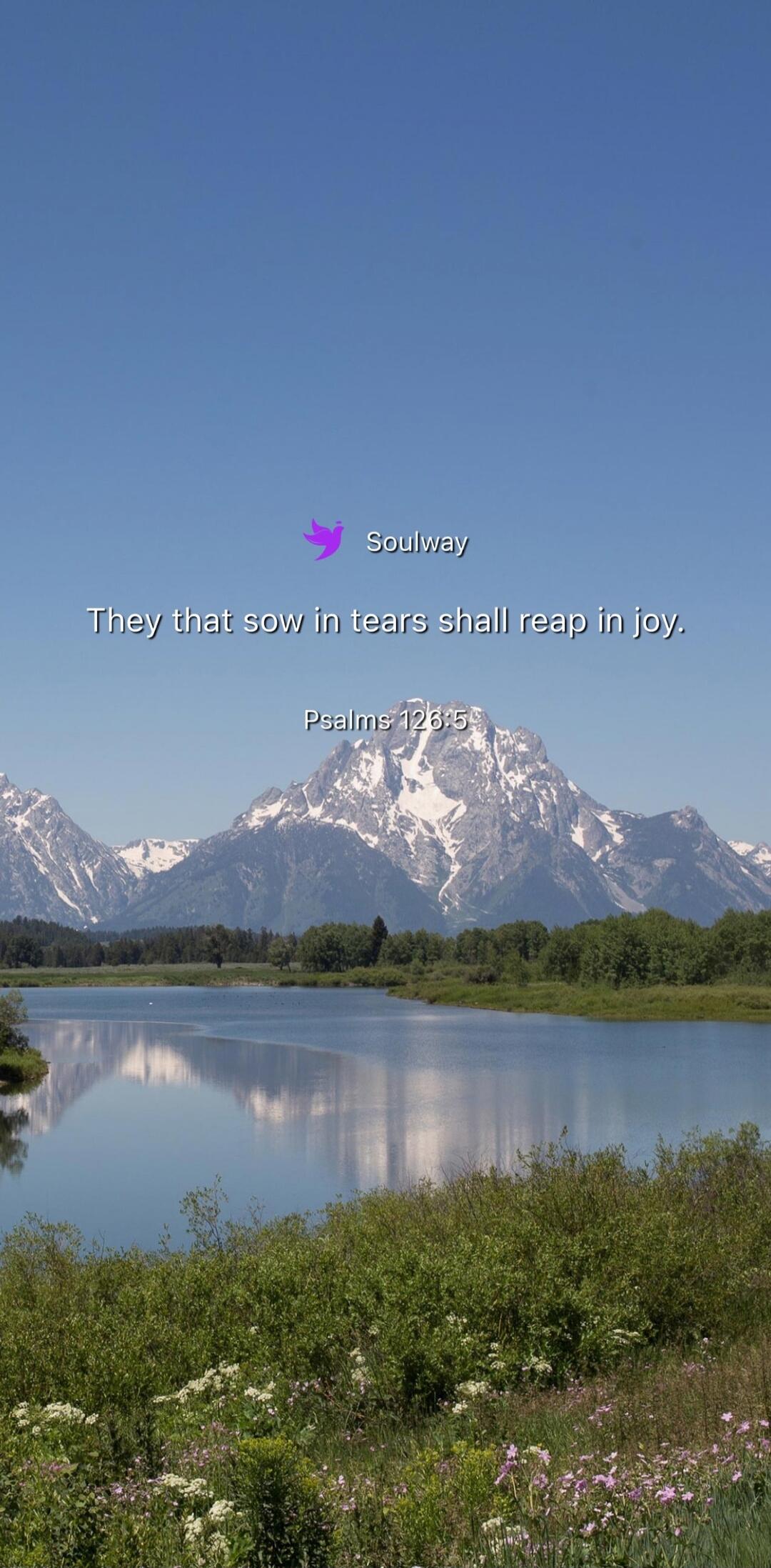 Soulway They that sow in tears shall reap in joy. Psalms 126:5