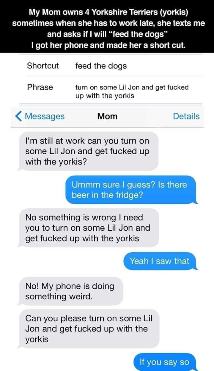 My Mom owns 4 Yorkshire Terriers yorkis sometimes when she has to work late she texts me LT CH IR B T R Yo To o 1 got her phone and made her a short cut Shortcut feed the dogs Phrase turn on some Lil Jon and get fucked up with the yorkis Messages Mom Details Im still at work can you turn on some Lil Jon and get fucked up with the yorkis Ummm sure guess Is there beer in the fridge No something is w