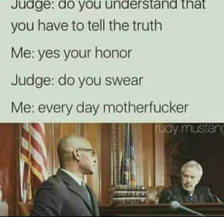Judge Ao you unaersiand that you have to tell the truth Me yes your honor Judge do you swear Me every day motherfucker