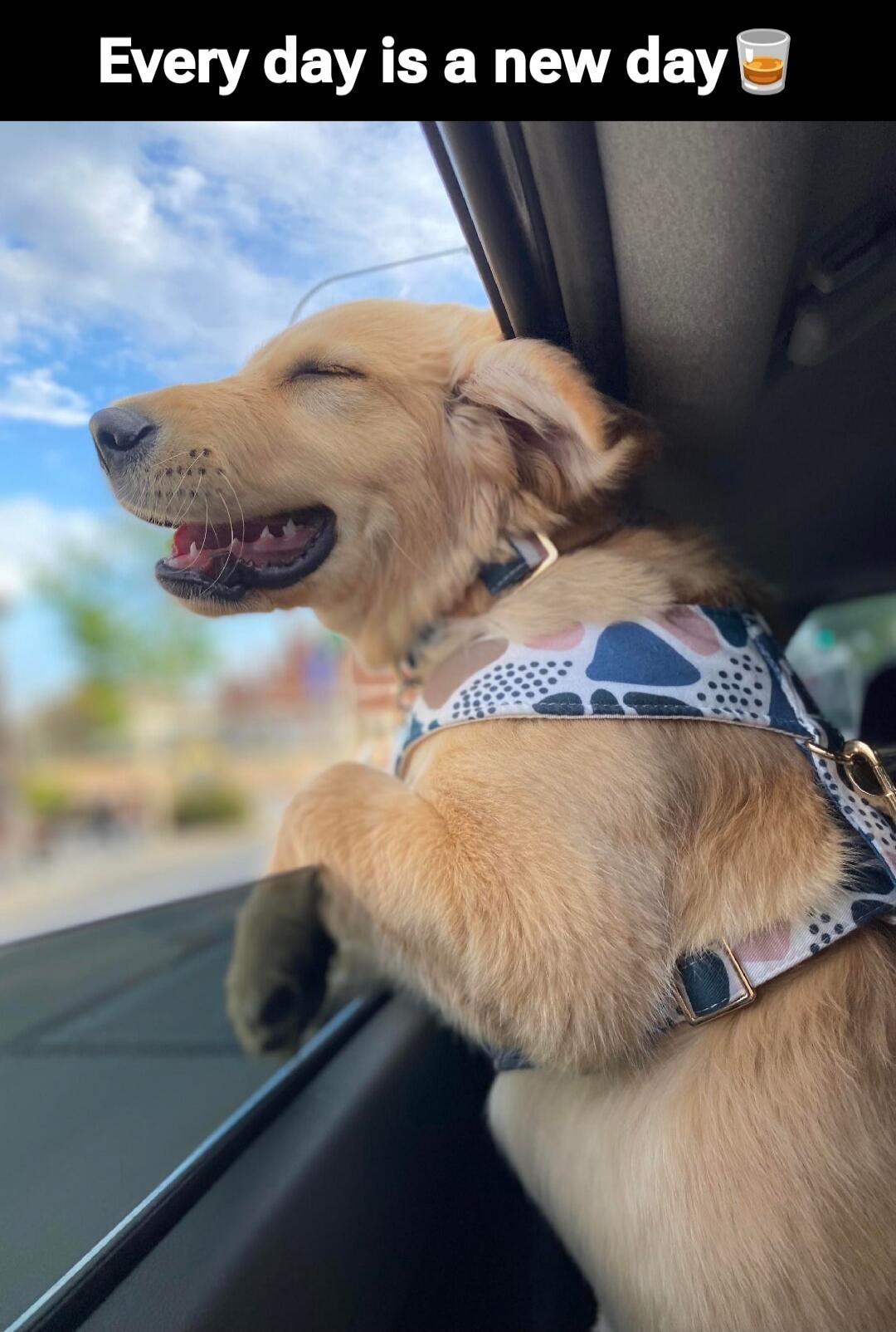 Every day is a new day ☕