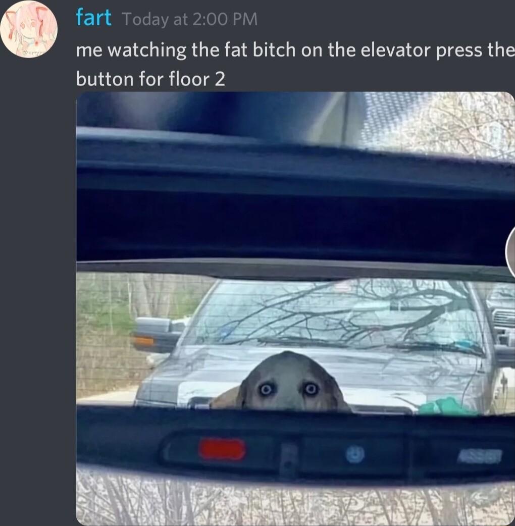 Today at 200 PM me watching the fat bitch on the elevator press the button for floor 2 T