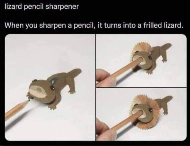 lizard pencil sharpener When you sharpen a pencil it turns into a frilled lizard