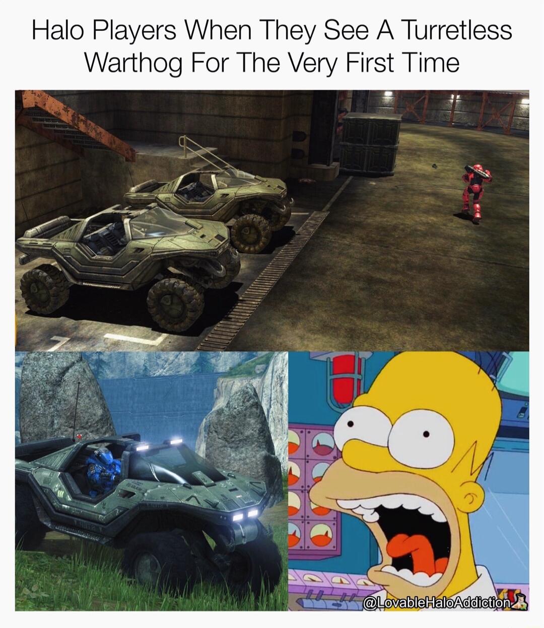 Halo Players When They See A Turretless Warthog For The Very First Time