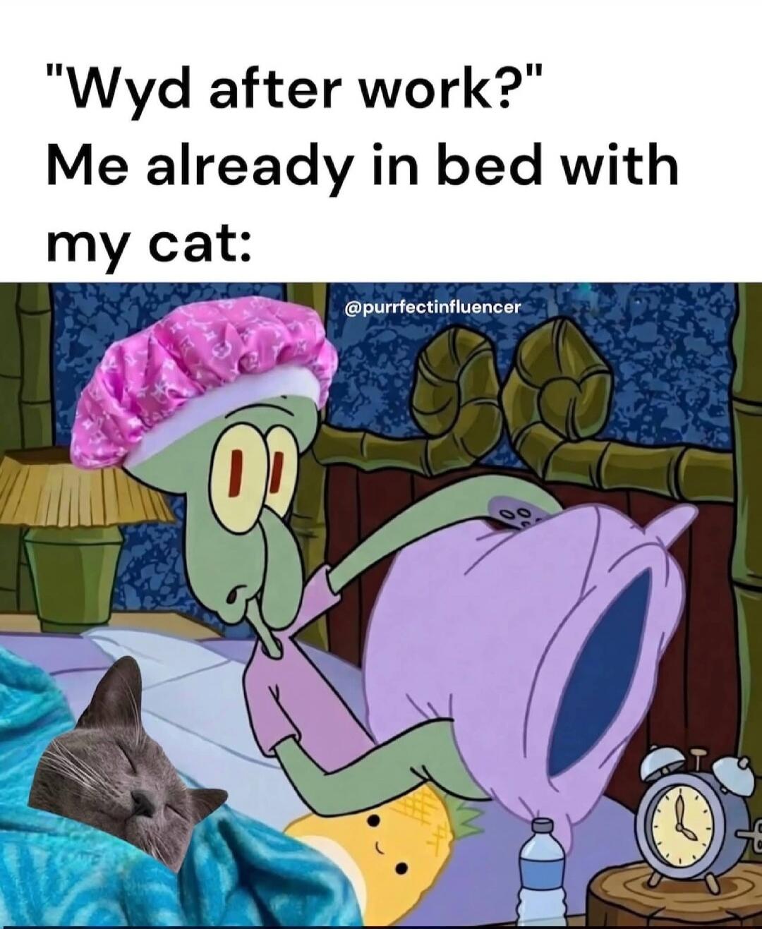 Wyd after work? Me already in bed with my cat: @purrfectinfluencer