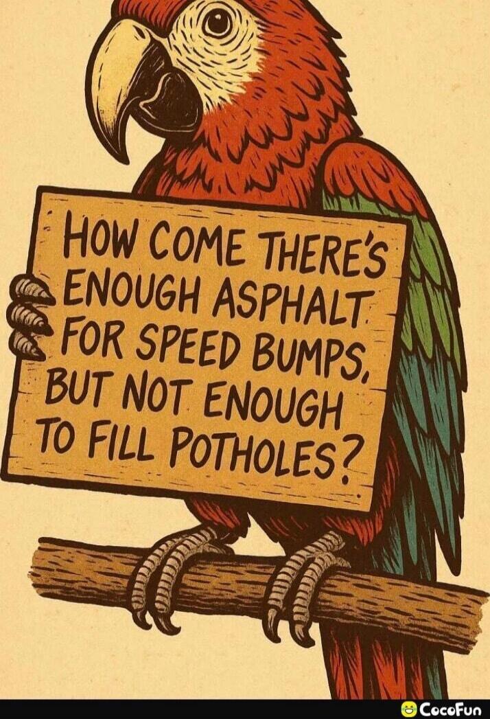 HOW COME THERE'S ENOUGH ASPHALT FOR SPEED BUMPS, BUT NOT ENOUGH TO FILL POTHOLES?