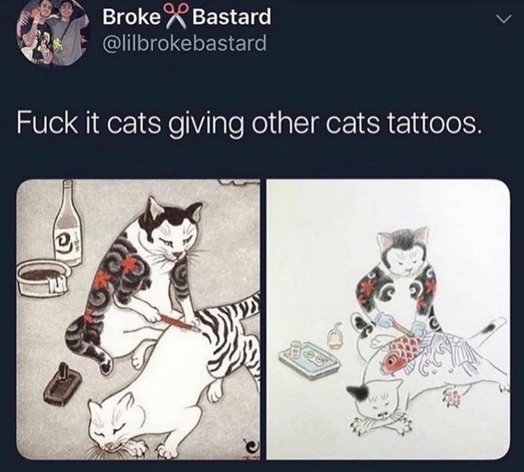 Fuck it cats giving other cats tattoos.