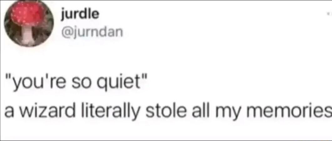 jurdle jurndan youre so quiet a wizard literally stole all my memories