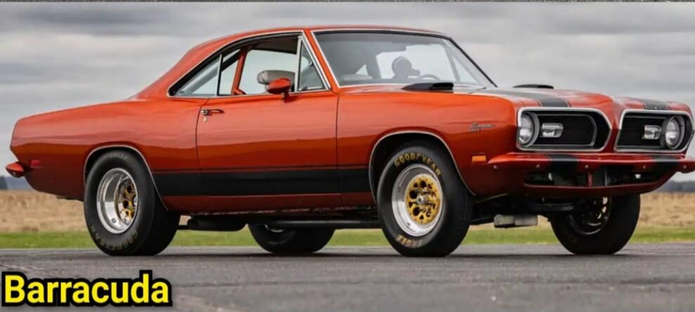 Barracuda