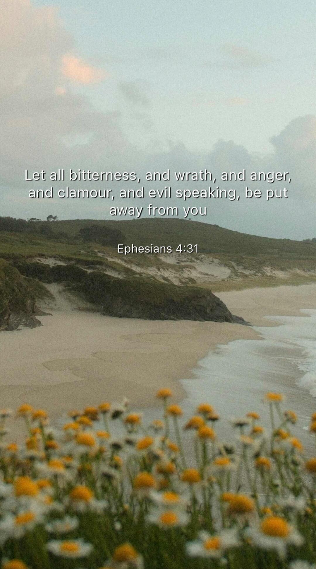 Let all bitterness, and wrath, and anger, and clamour, and evil speaking, be put away from you
Ephesians 4:31