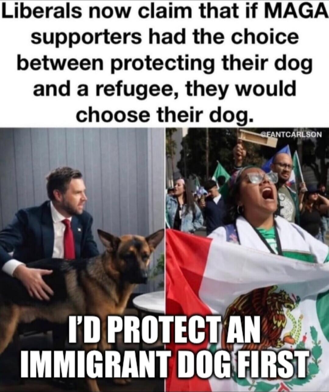 Liberals now claim that if MAGA supporters had the choice between protecting their dog and a refugee, they would choose their dog. I'D PROTECT AN IMMIGRANT DOG FIRST