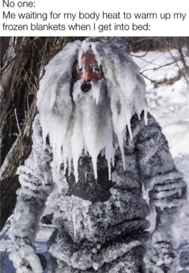 No one Me waiting for my body heat to warm up my frozen blankets when get into bed
