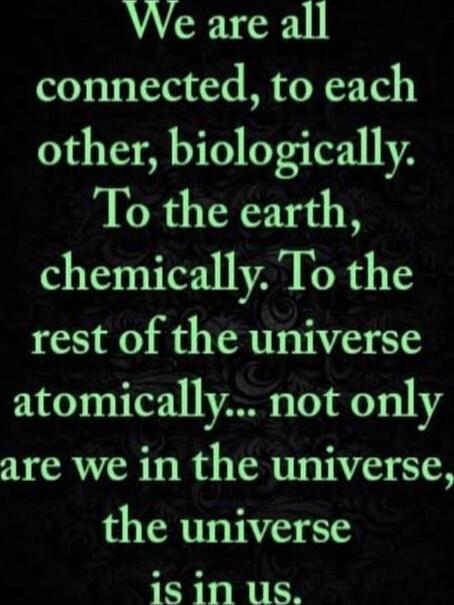 We are all connected, to each other, biologically. To the earth, chemically. To the rest of the universe atomically... not only are we in the universe, the universe is in us.