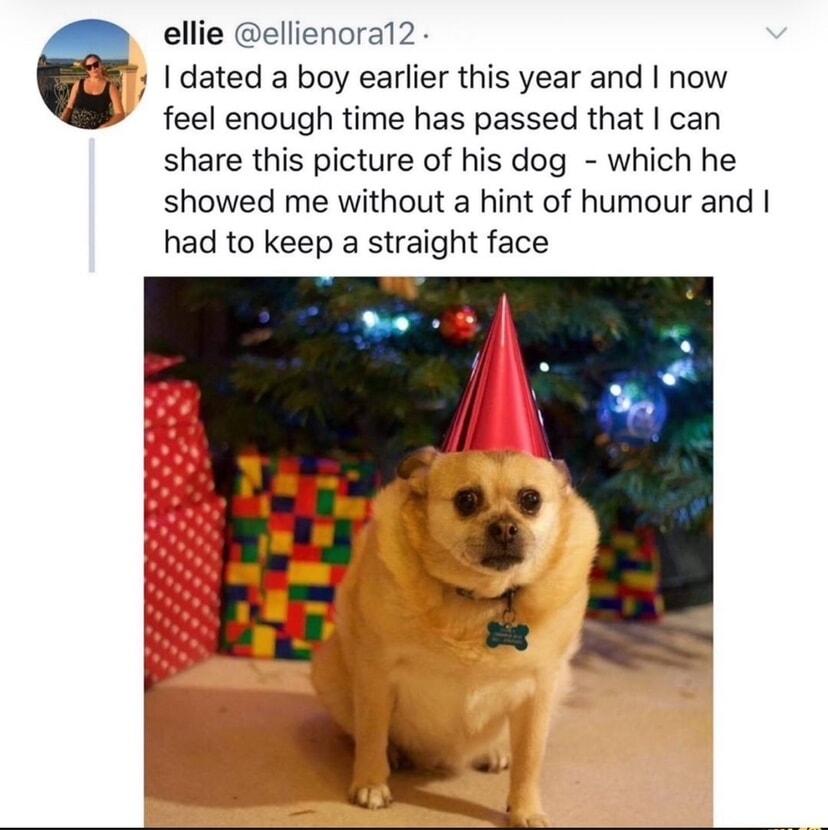 s dated a boy earlier this year and now V feel enough time has passed that can share this picture of his dog which he showed me without a hint of humour and had to keep a straight face