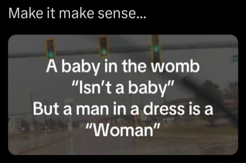 Make it make sense... A baby in the womb 