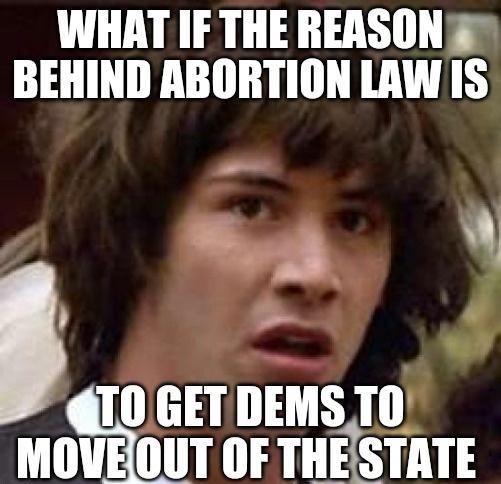 WHAT IF THE REASON BEHIND ABORTION LAW IS v 10 GET DEMS 10 MOVEOUT OF THESTATE