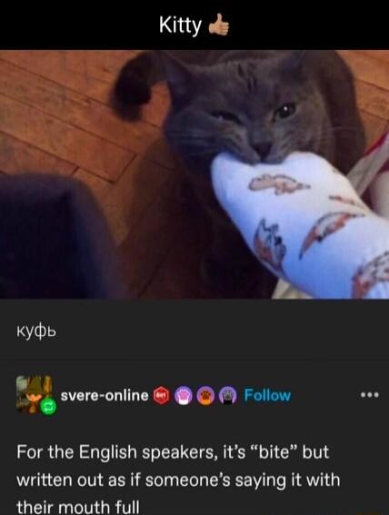 Kitty ofs Kyhb _ svere online Follow e For the English speakers its bite but written out as if someones saying it with their mouth full