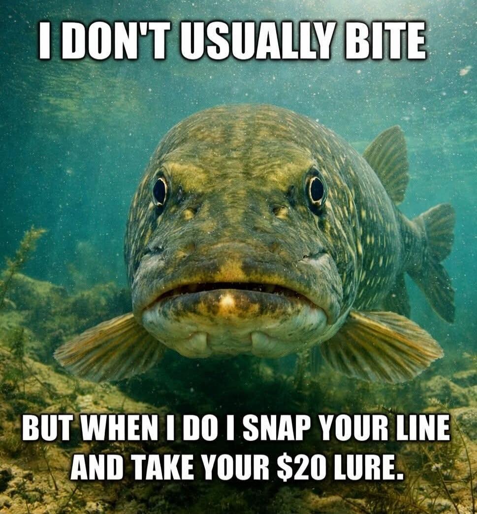 I DON'T USUALLY BITE BUT WHEN I DO I SNAP YOUR LINE AND TAKE YOUR $20 LURE.