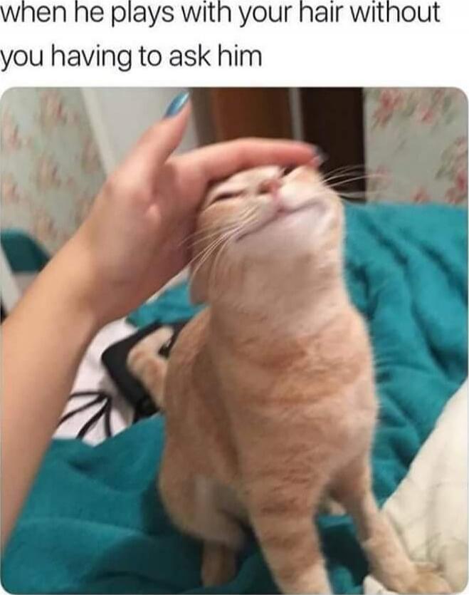 when he plays with your hair without you having to ask him