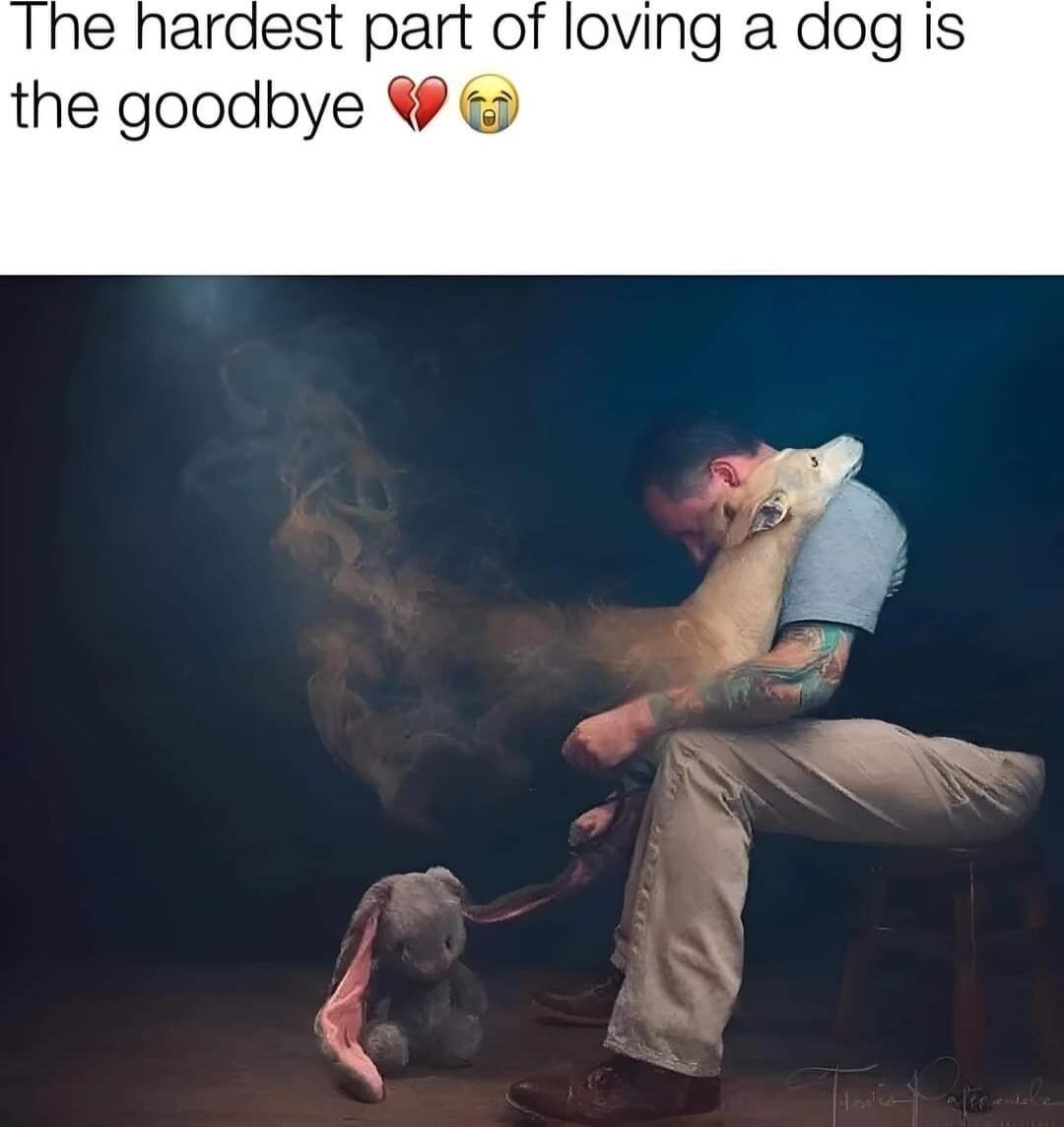 e hardest part of loving a the goodbye