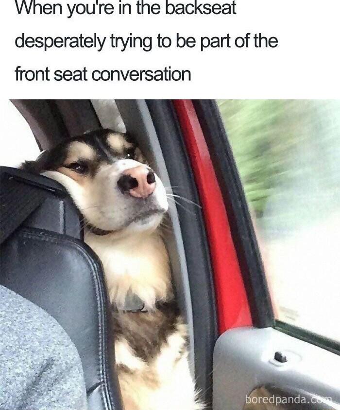 VVhen youre In the backseat desperately trying to be part of the front seat conversation
