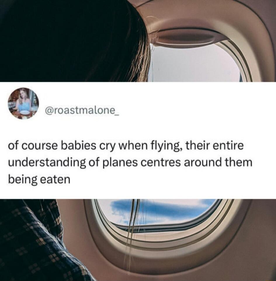 astmalone of course babies cry when flying their entire understanding of planes centres around them being eaten