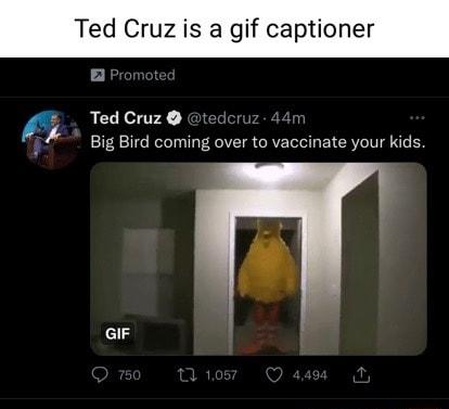 d Cruz is a gif captioner _ Ted Cruz tedcr n Big Bird coming over to vaccinate your kids GIF